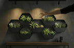 The Kenso Planter