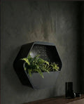 The Kenso Planter